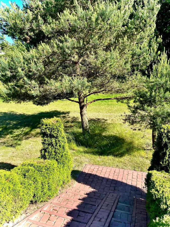 Domki Debina Villa Debina  Exterior foto